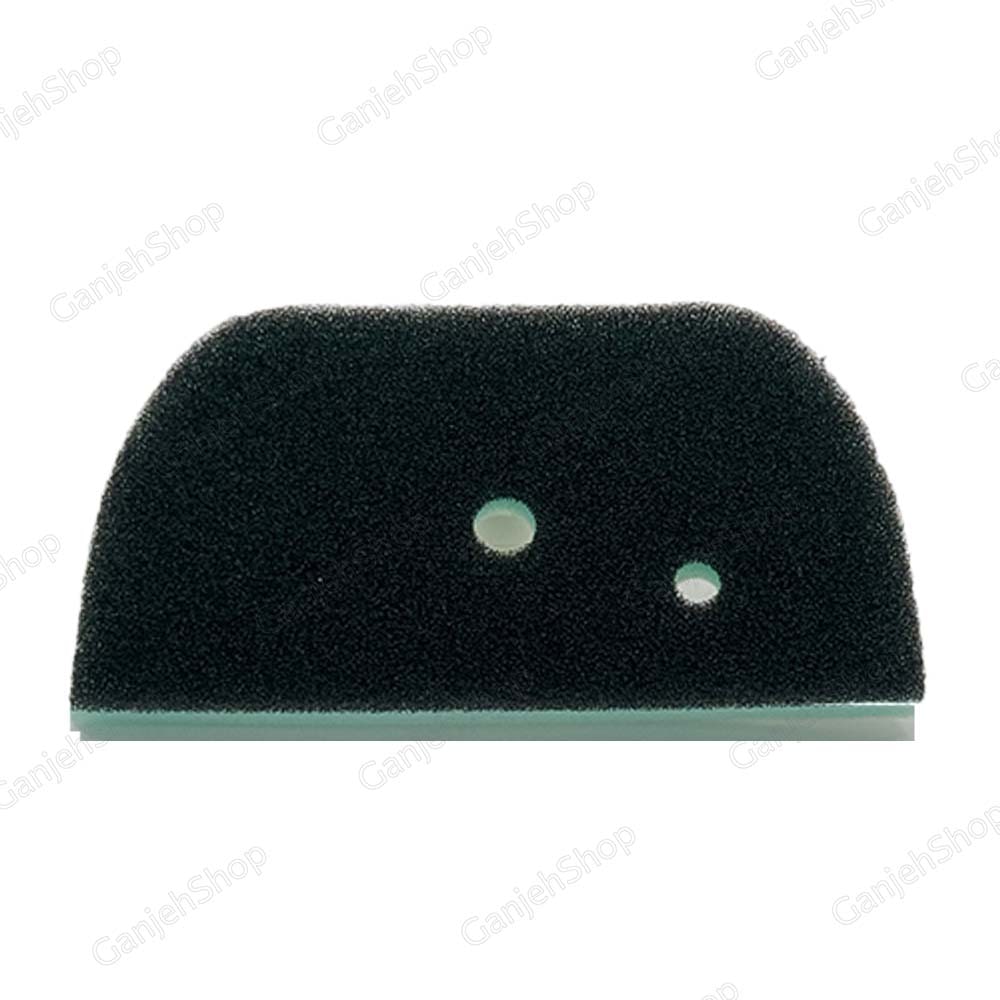 فیلتر محافظ جاروبرقی ال جی دو سوراخ اصلی