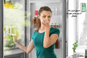 سریع‌ترین راه از بین بردن بوی بد یخچال (علل + روش‌های فوری و خانگی)