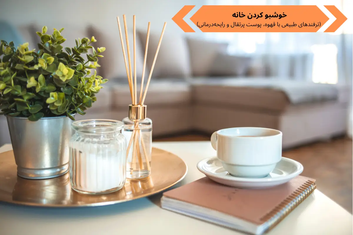 خوشبو کردن خانه (ترفندهای طبیعی با قهوه، پوست پرتقال و رایحه‌درمانی) | گنجه مارکت